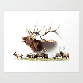 Elk Collage Art Print