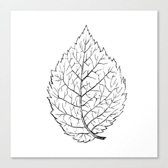 Leaf Canvas Print