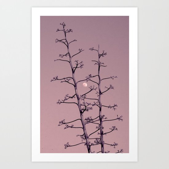 Luna y Tequila Art Print