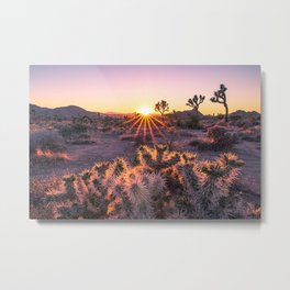 Joshua Tree Cholla Cactus Sunset Sun Flare (warm tones) Metal Print | Orange, Landscape, Cholla Cactus, Hidden Valley, Warm Tones, Desert, Cholla Garden, Purple, Joshua Tree Sunset, Nature 