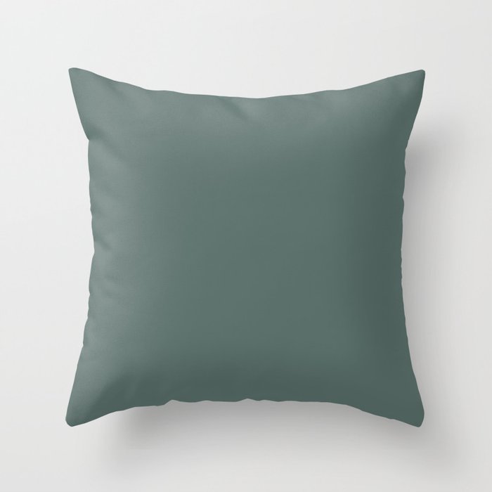 Dark Green Solid Color Behr 2021 Color of the Year Accent Shade Meteorological N430-6 Throw Pillow