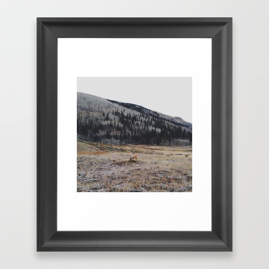 Silverton Fox Framed Art Print