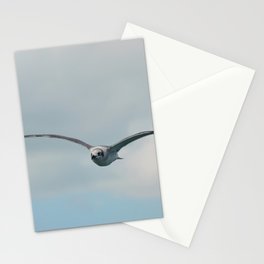 Seagull flying with wide open wings | Coastal seabird photo Stationery Card
