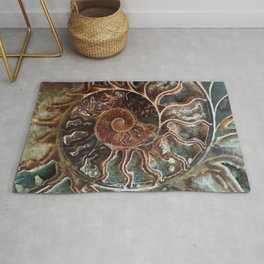 Fossilized Shell Rug