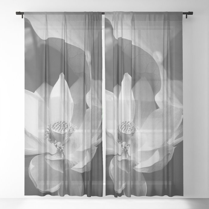 Sheer Curtain
