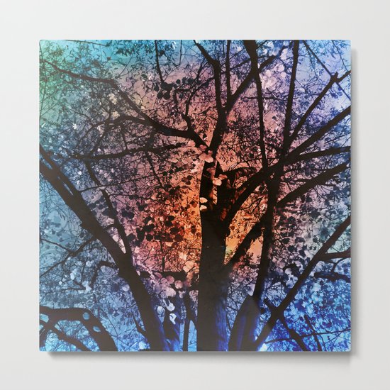 Autumn Sunset Metal Print