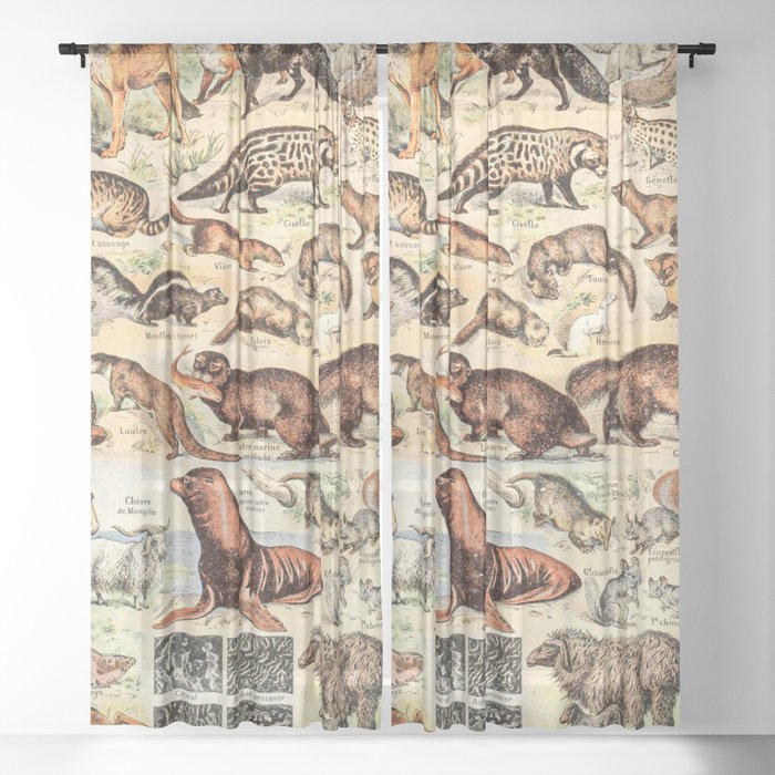 Cute Animals // Fourrures by Adolphe Millot XL 19th Century Science Textbook Diagram Artwork Sheer Curtain