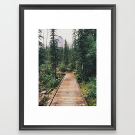 Moraine Lake Trail Framed Art Print