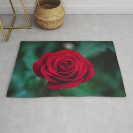 Romantic Red Rose Rug | Romanticfloral, Redflower, Flowers, Roseblooming, Romanticflower, Romantic, Film, Redrose, Floral, Roses 
