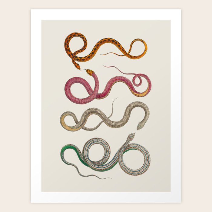 Art Print