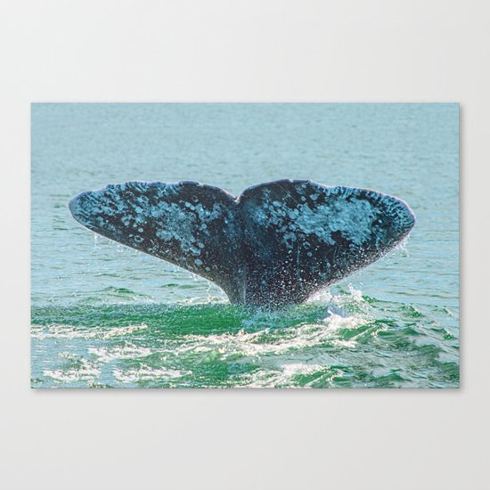 A TAIL OF A TIME Canvas Print