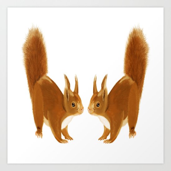 Squirrel Art Print