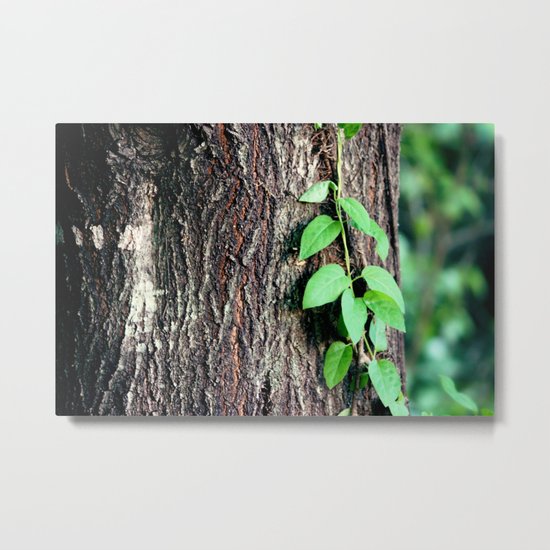 Wrinkles in Nature Metal Print