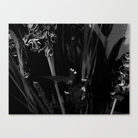 Lost in the Dark Canvas Print