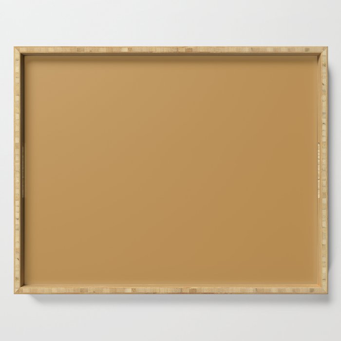 Mid-tone Brown Solid Color Pairs Pantone Amber Gold 16-1139 TCX - Shades of Orange Hues Serving Tray