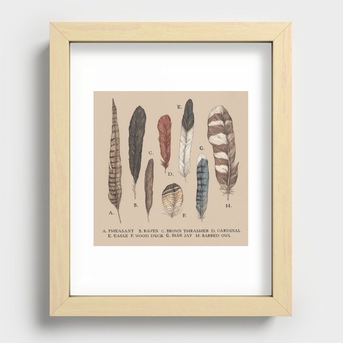 Feathers Recessed Framed Print