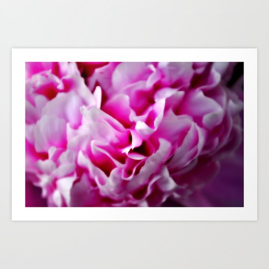 Peony Art Print