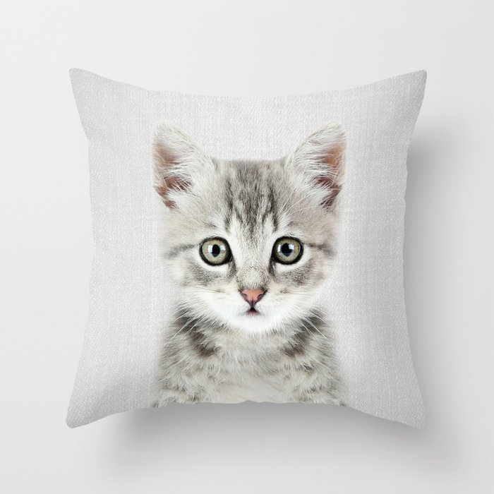 kitten on pillow