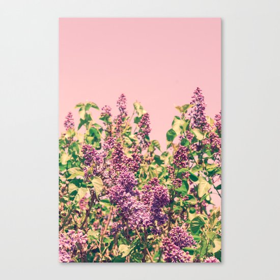 BLISS Canvas Print