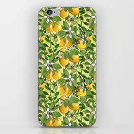 Honey Lemon Grove  iPhone Skin