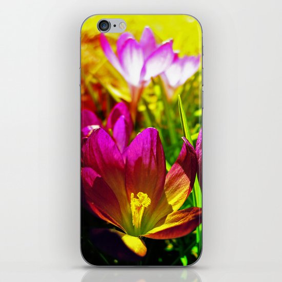 the day after iPhone Skin