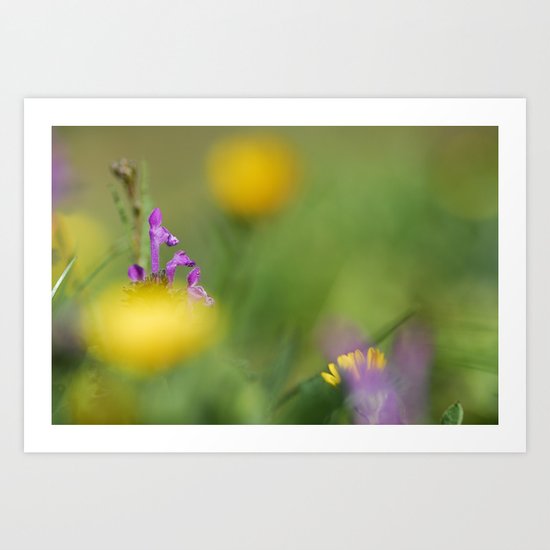 Purple, yellow and green bokeh Art Print