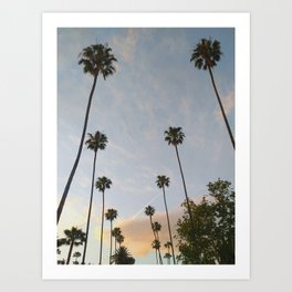 Los Angeles Palm Trees Art Print | Foothil, Photo, Palm, Losangeles, America, La, Trees, Cali, California, Boulevard 