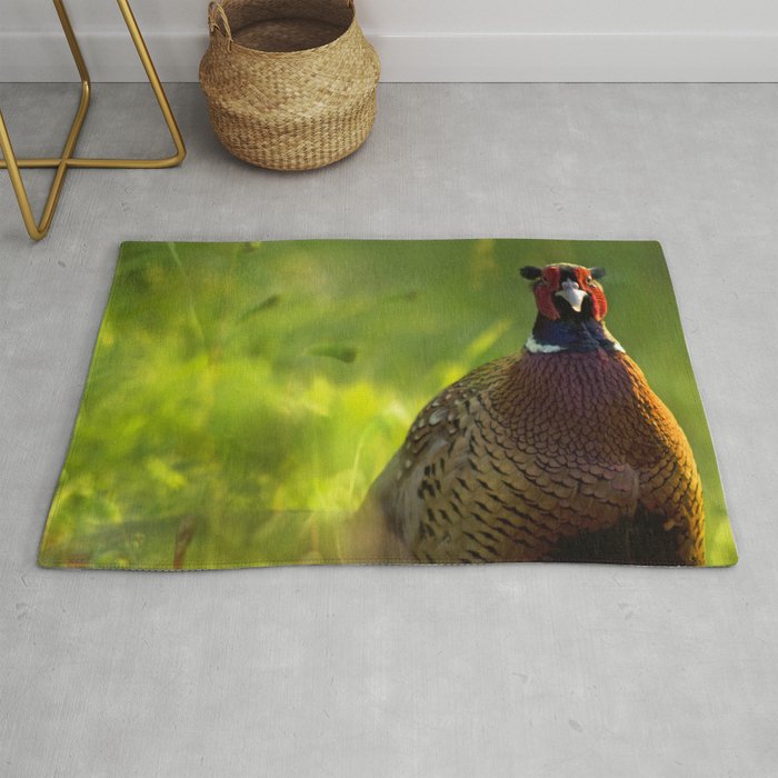 Common pheasant Rug