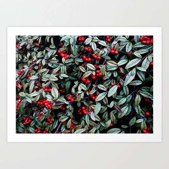 Nature's Pattern Art Print