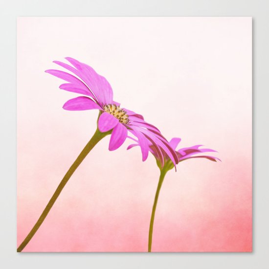Pretty in Pink Canvas Print