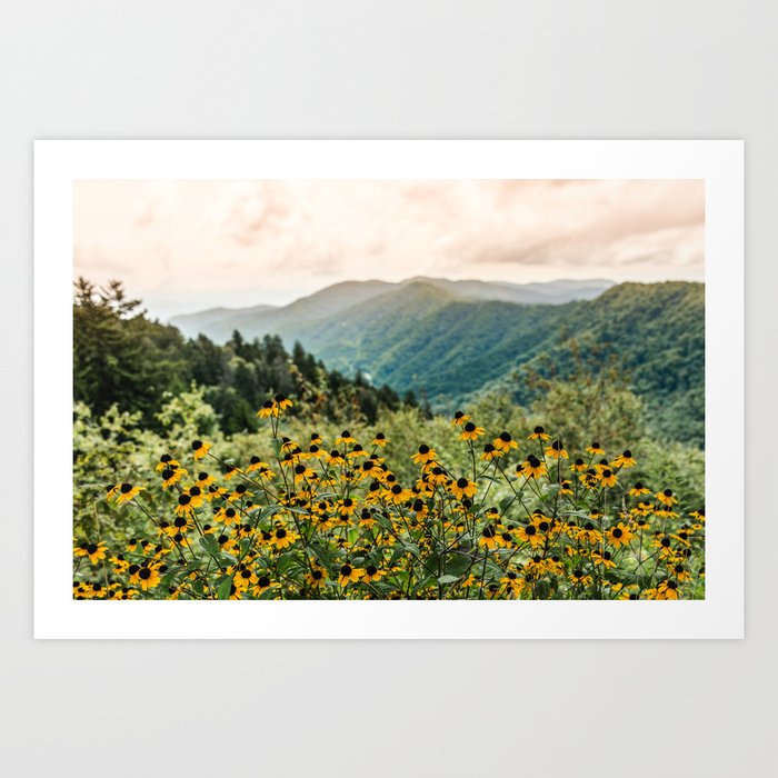 Smoky Mountains Wildflower Nature Photography Art Print