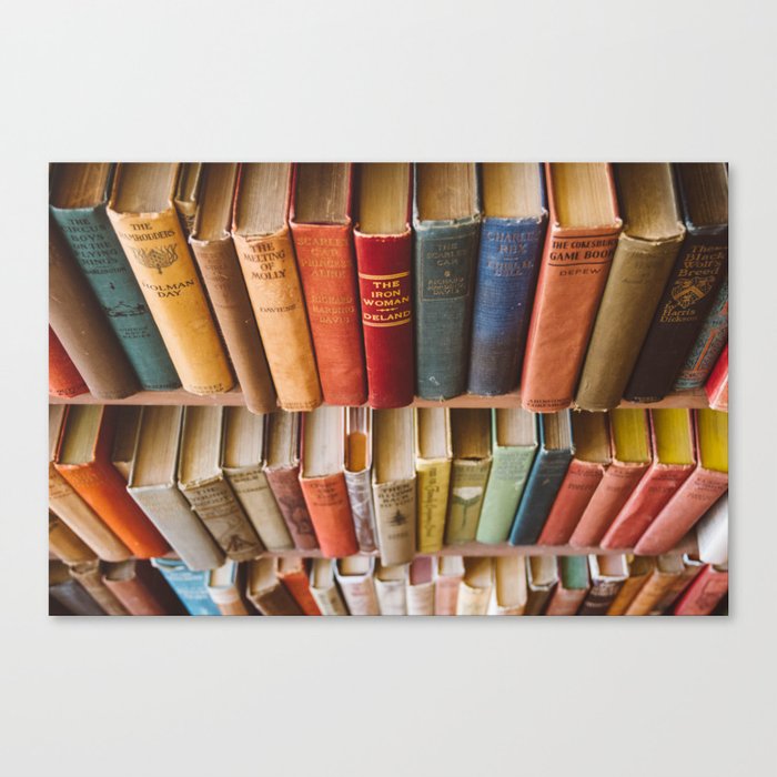 The Colorful Library Canvas Print