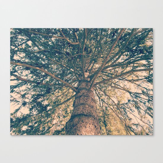 Ancient Wisdom Canvas Print