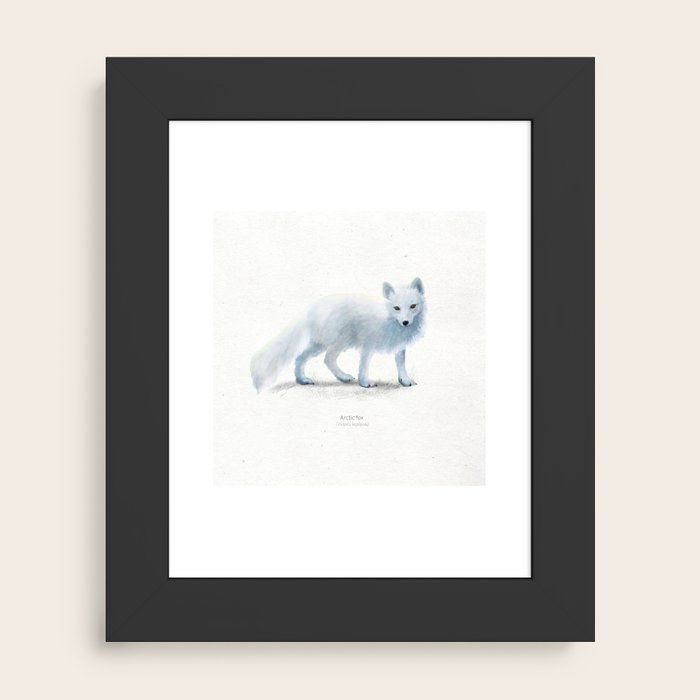 Framed Art Print