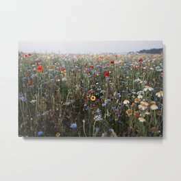 Dreamy wildflowerfield | photo print of a field full of wildflowers Metal Print