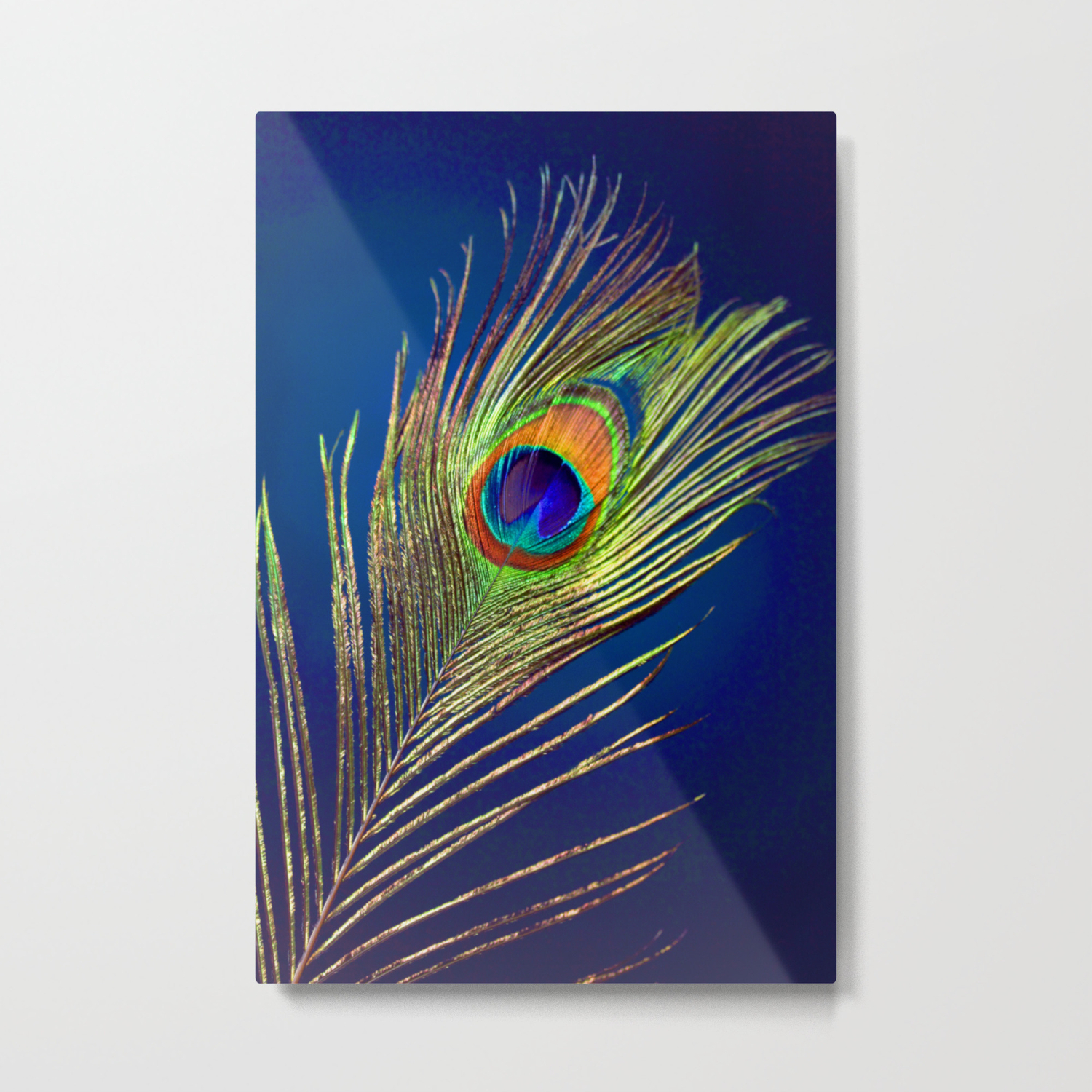 Peacock Feather Metal Print By Markashkenazi Society6