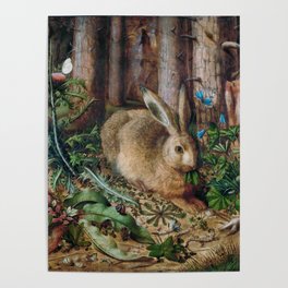 A Hare in the Forest  Poster
