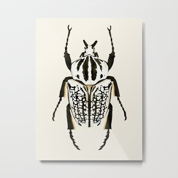  beetle insect Metal Print