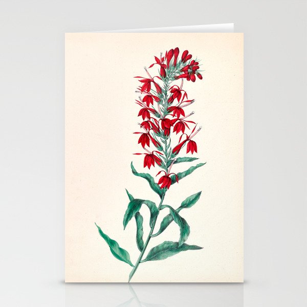  Cardinal flower by Clarissa Munger Badger, 1859 (benefitting The Nature Conservancy) Stationery Cards