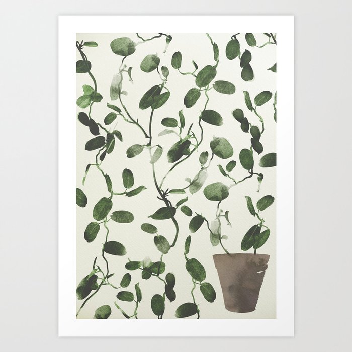 Hoya Carnosa / Porcelainflower Art Print