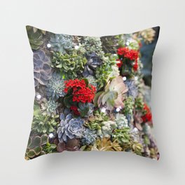 Dreamy Succulents Throw Pillow
