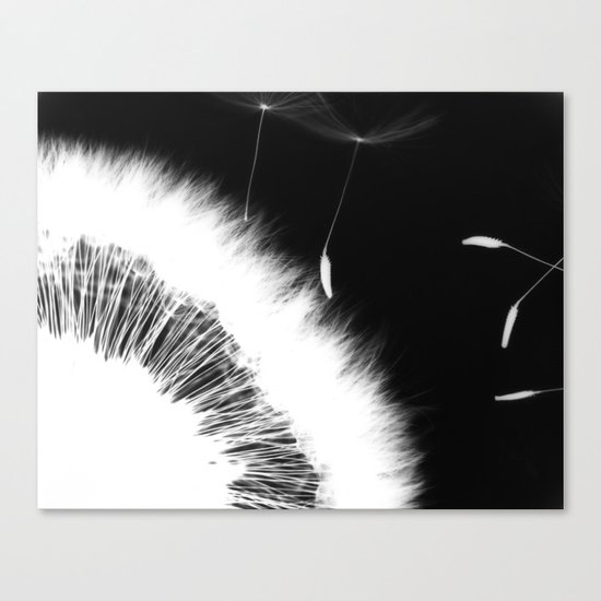 Intruder II Canvas Print