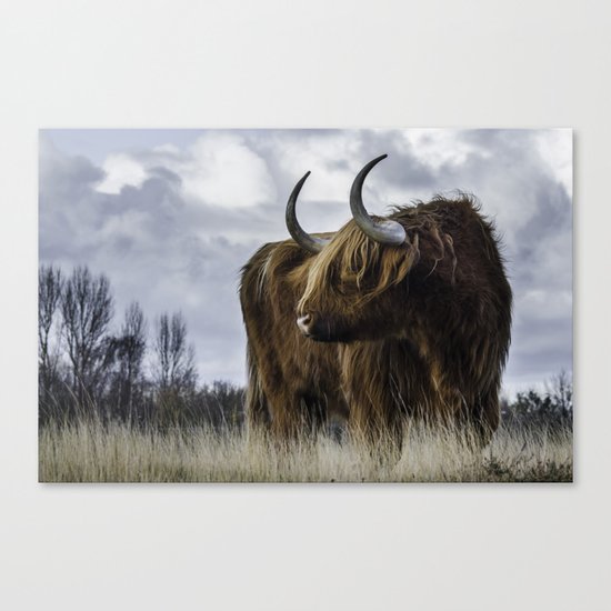 Highlander 3 Canvas Print