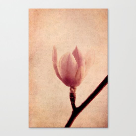 decent Canvas Print