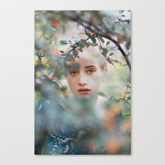 Through leaves Canvas Print