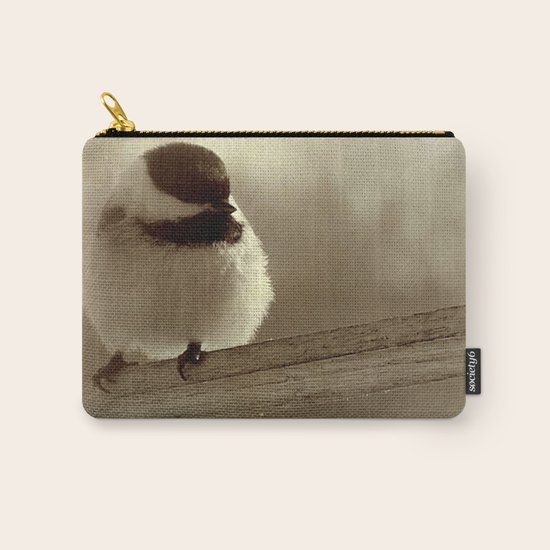 Perched Carry-All Pouch