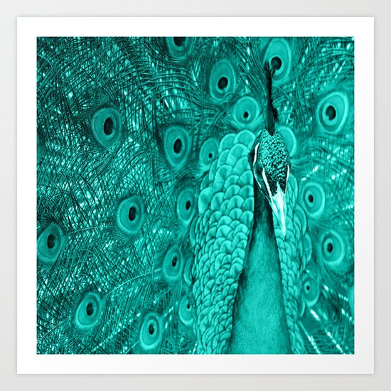 Peacock Art Print