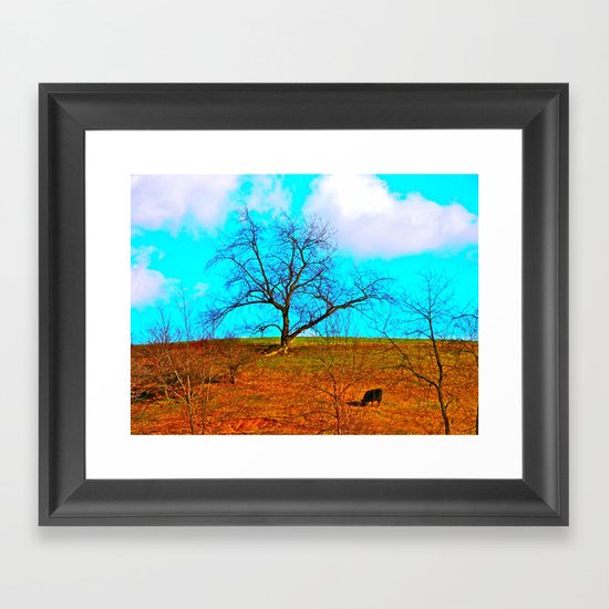 One Black Cow Framed Art Print