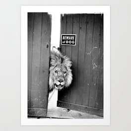 Beware of Dog black and white photograph of attack lion humorous black and white photography Art Print