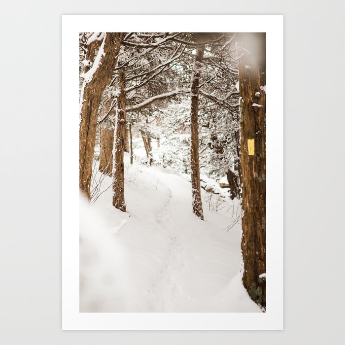 Winter Hike Art Print